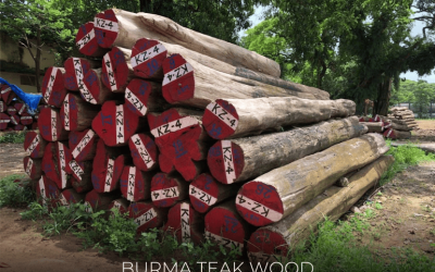 Which Wood is Best for Furniture?