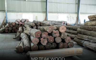 5 reasons to choose teak